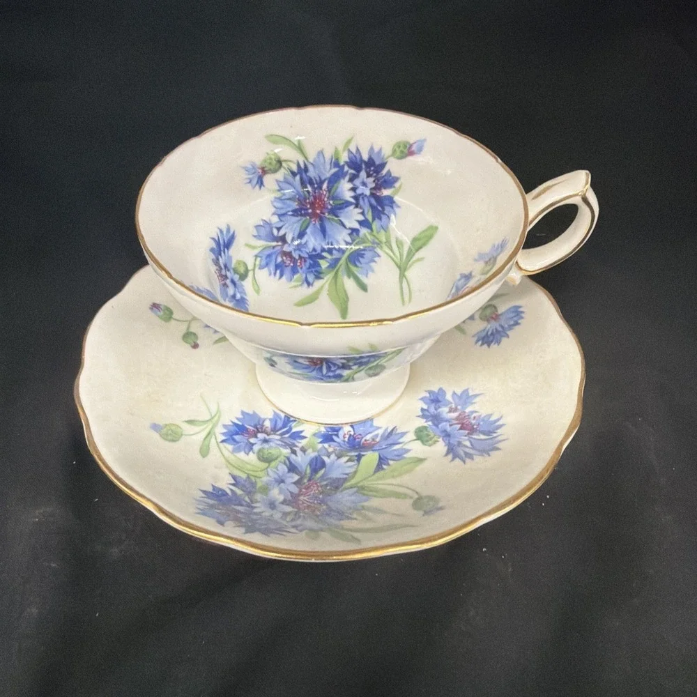 Hammersley & Co Fine Bone China Cup and Saucer